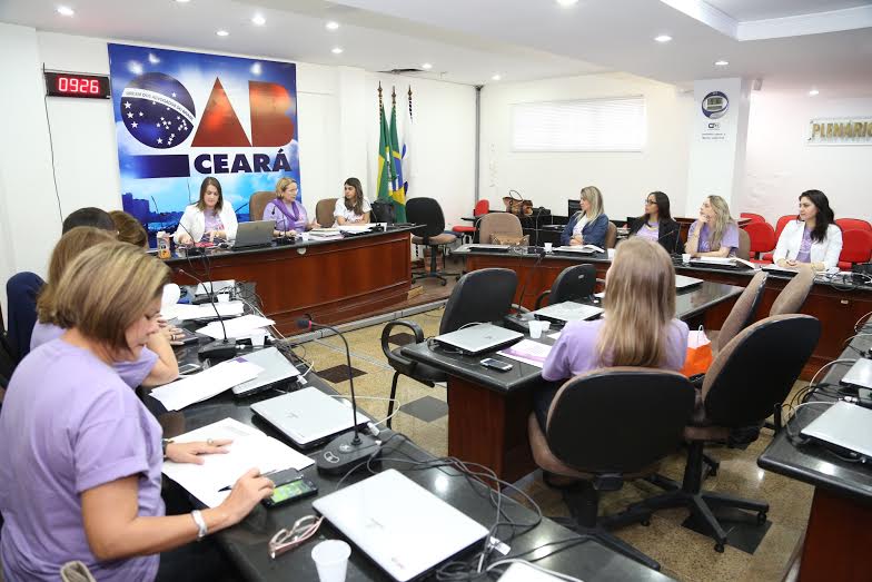 Comissão da Mulher Advogada realiza capacitação sobre questões de gênero